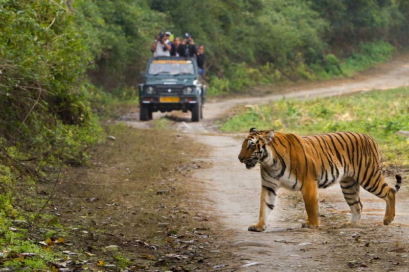 Jim Corbett, Uttarakhand