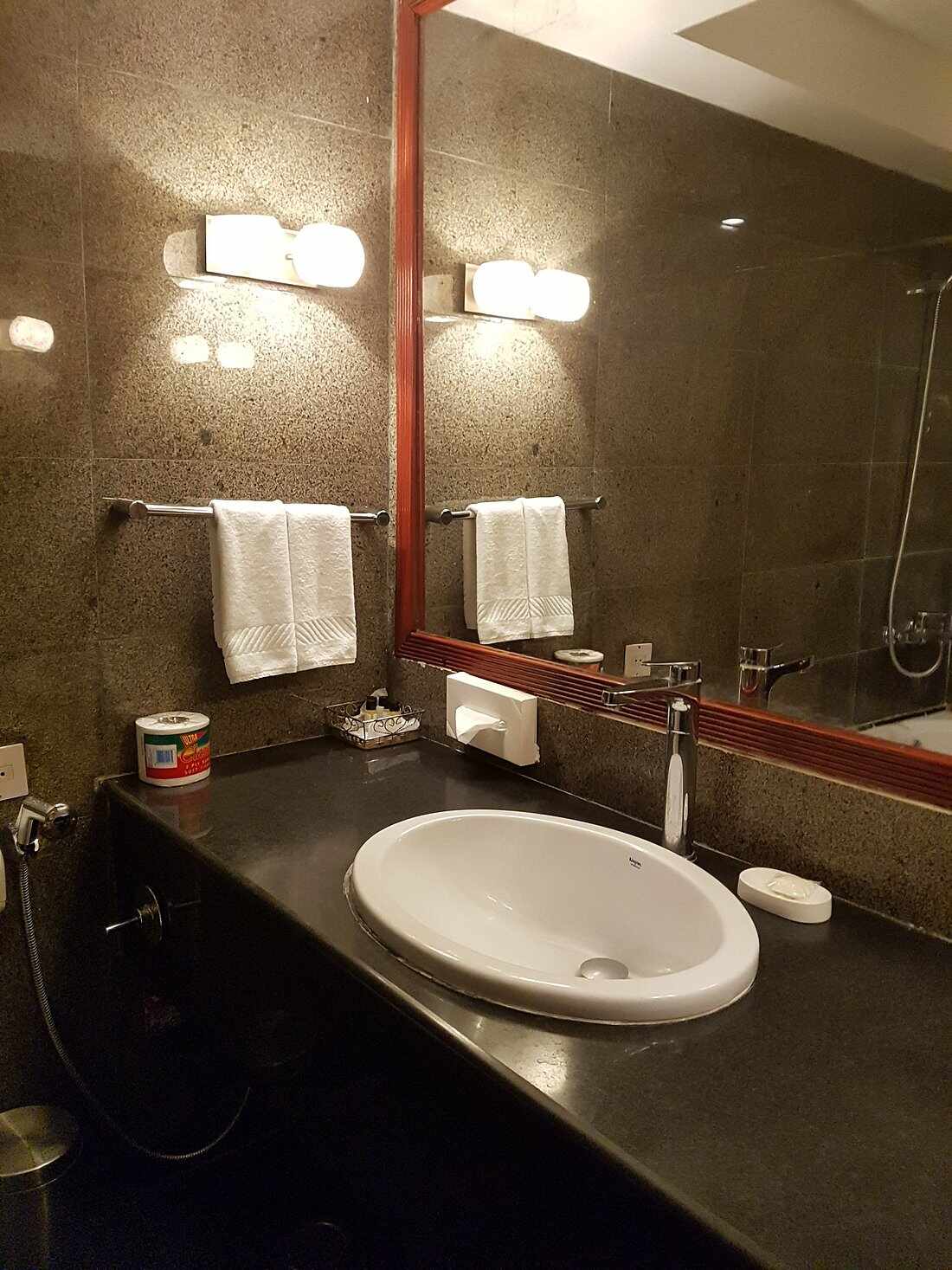 Ashok Country Resort Washroom